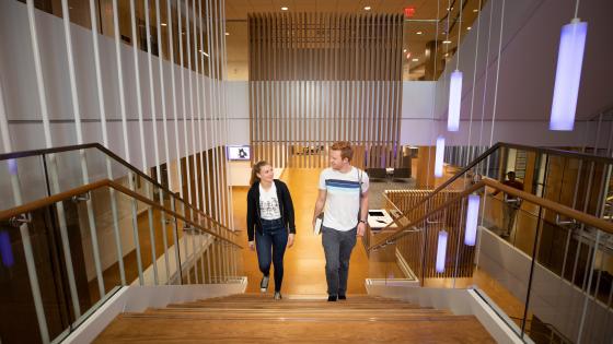 Students walking up stairs