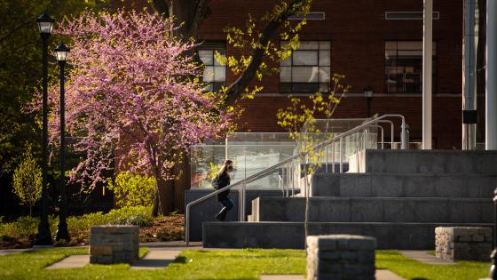 Law Building Entrance and landscaping